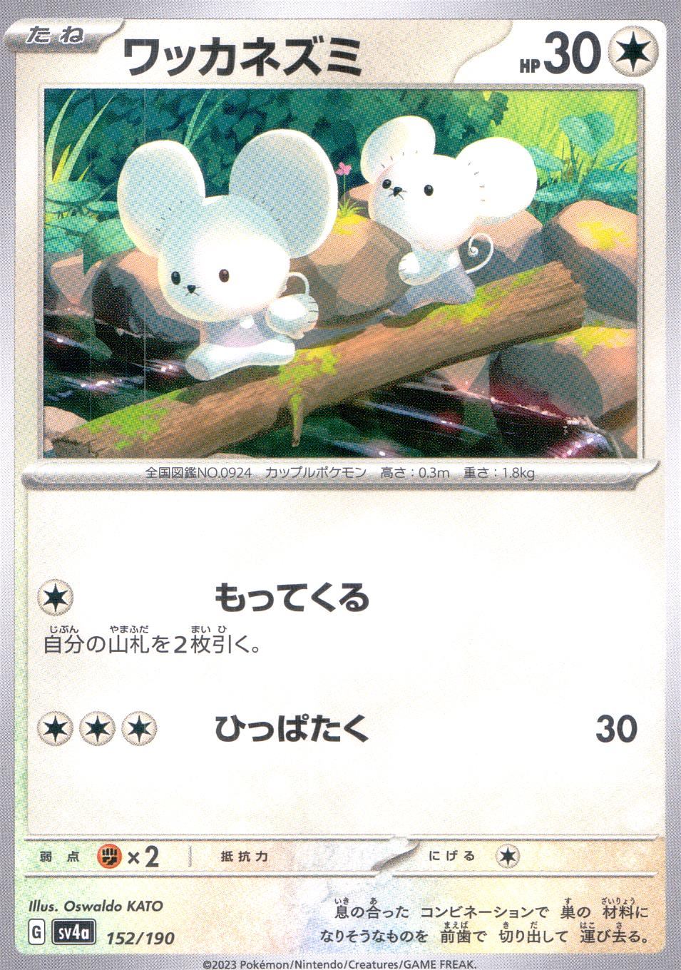 152/190/SV4A/B ワッカネズミ