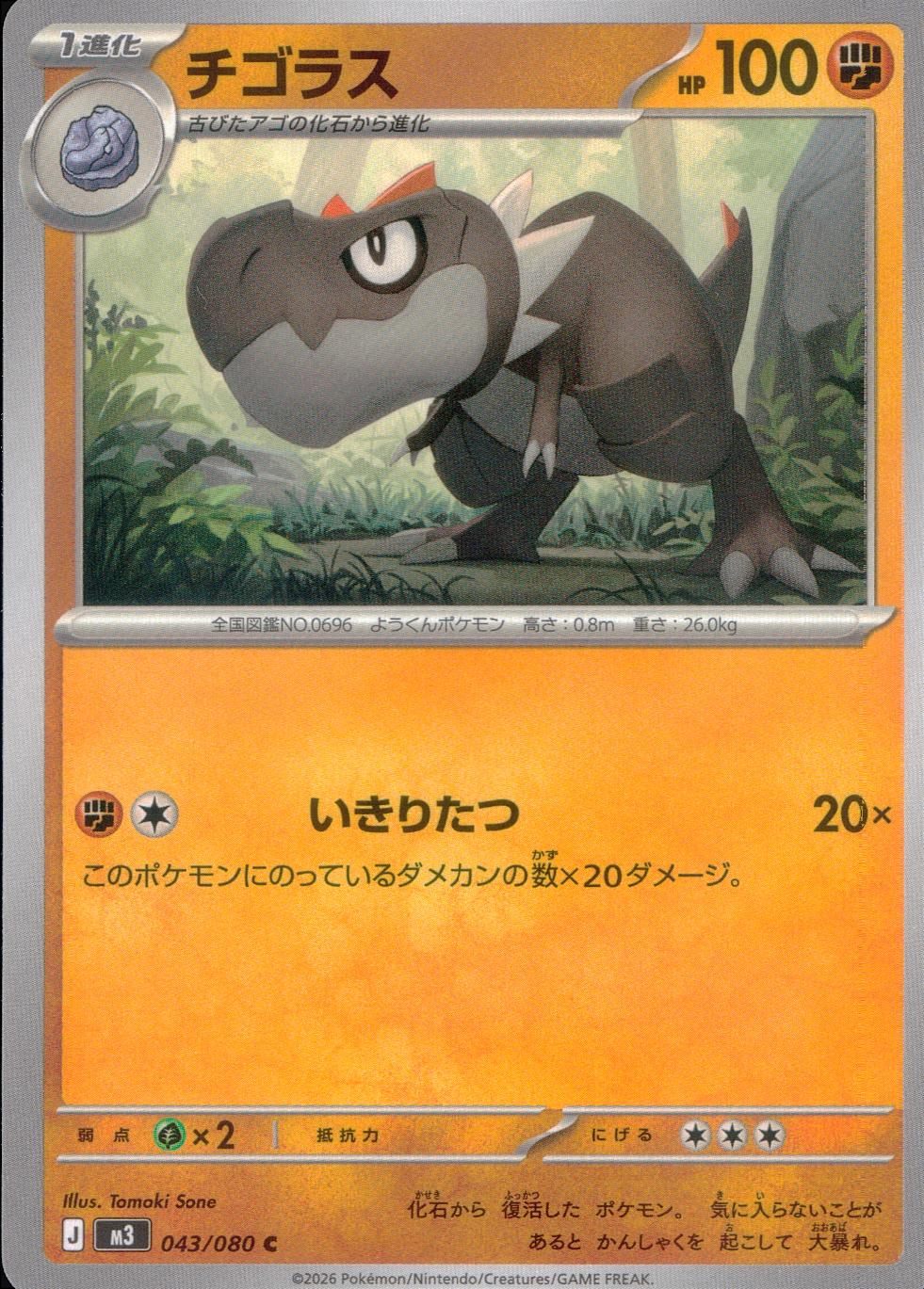 043/080/M3/C Tygoras