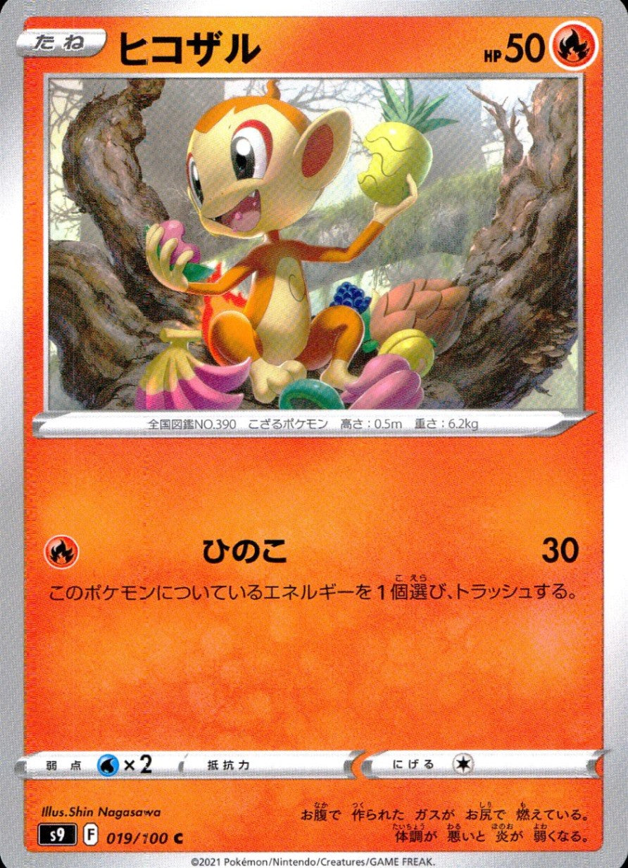 019/100/S9/B/C Hikozaru