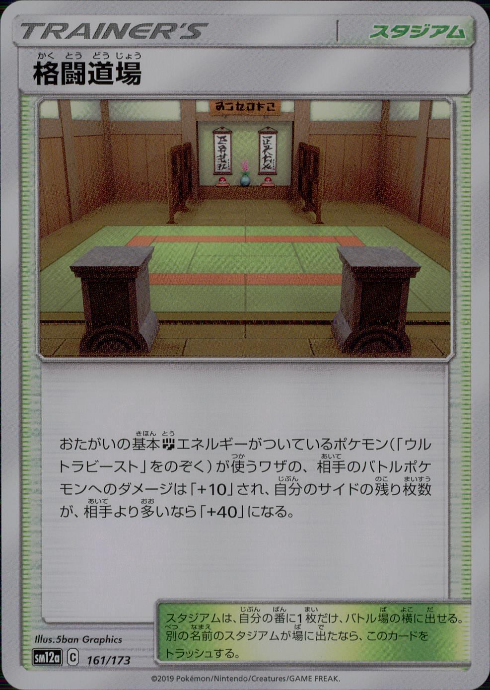 161/173/SM12A/格闘道場