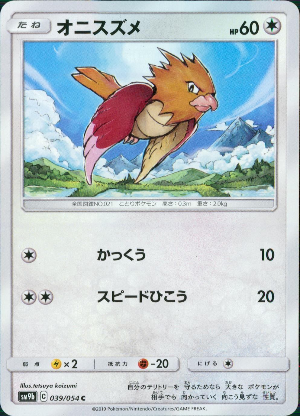 039/054/SM9B/B/C オニスズメ