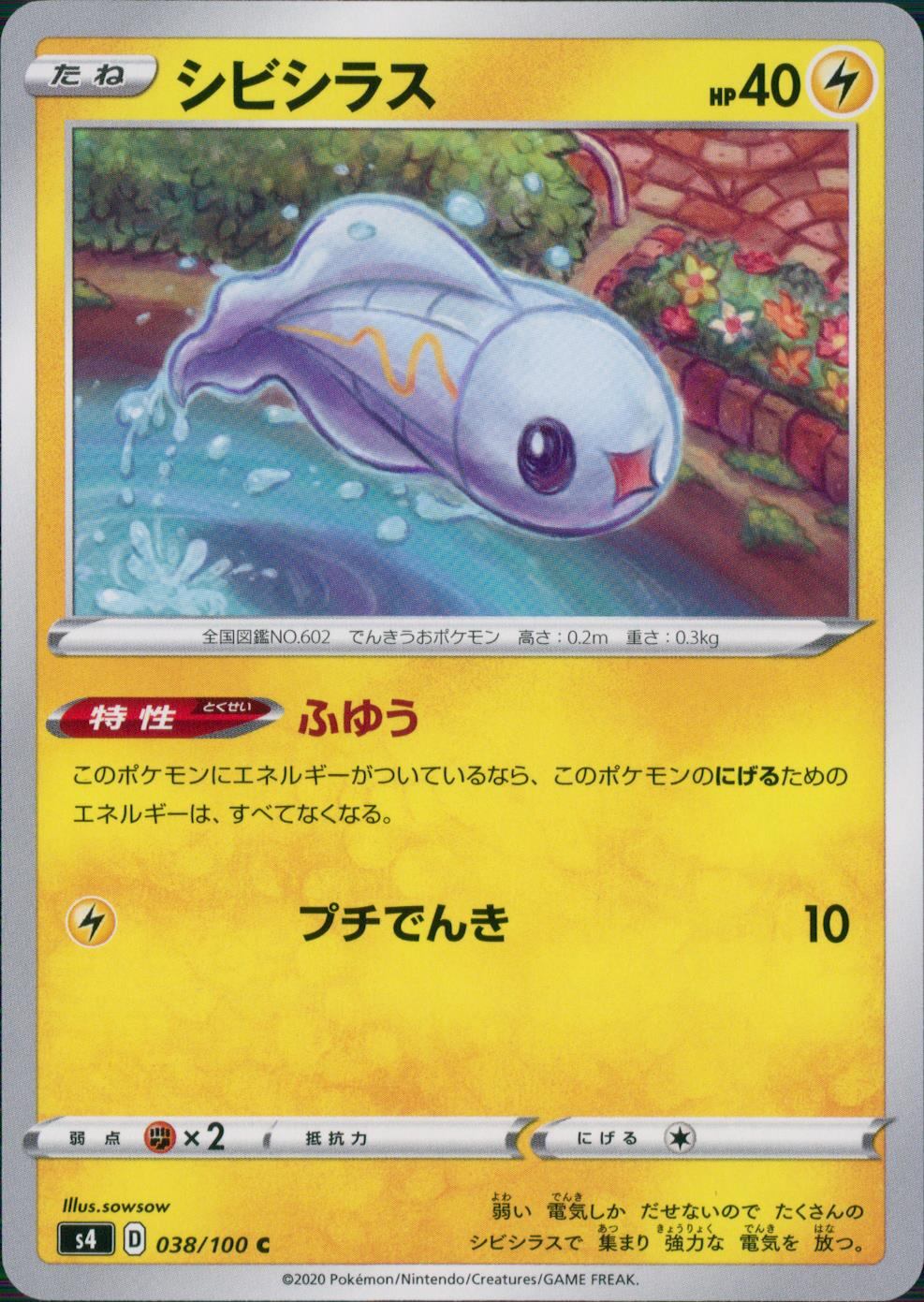 038/100/S4/B/C シビシラス