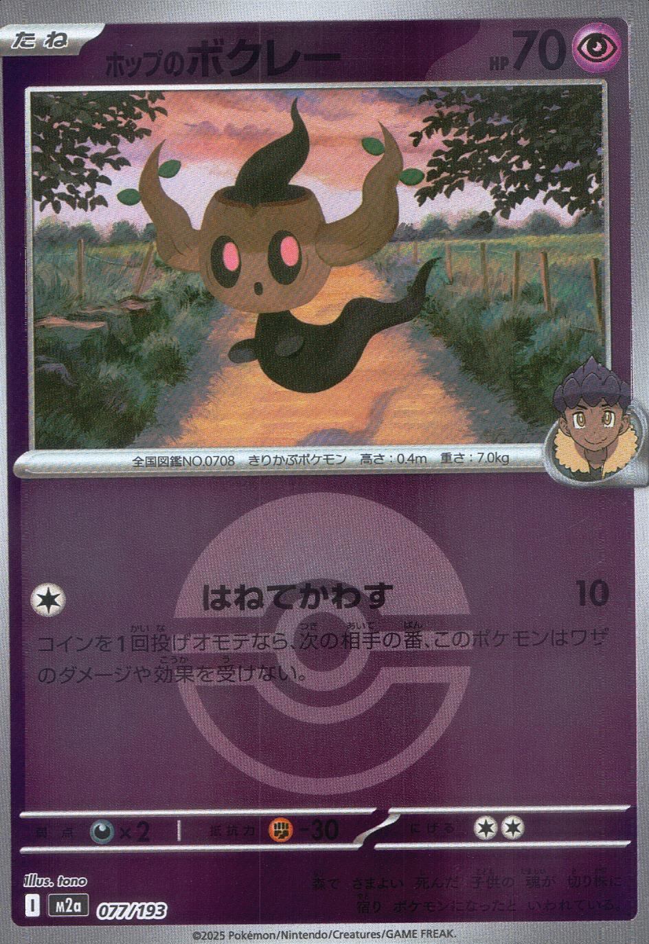 077/193/M2a/MB ホップのボクレー(ボールミラー)