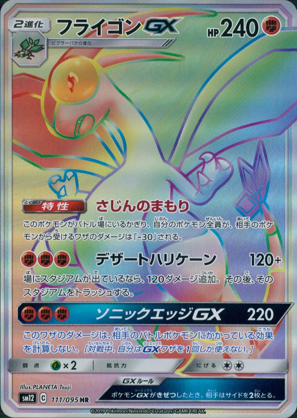 111/095/SM12/B/HR フライゴンGX