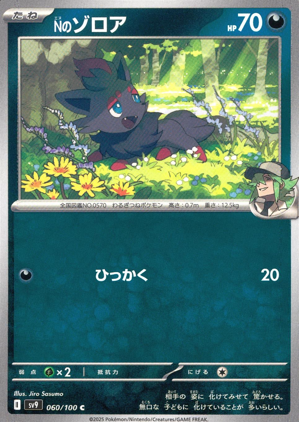 060/100/SV9/B/C Nのゾロア