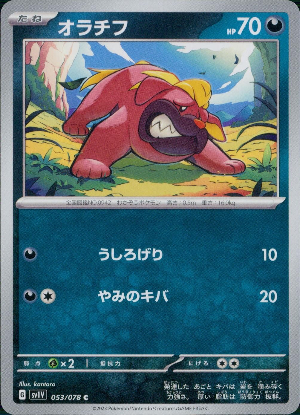 053/078/SV1V/B/C オラチフ