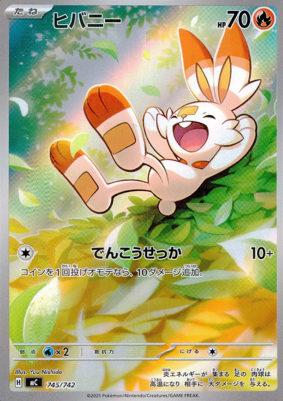 745/742/MC/AR仕様 ヒバニー