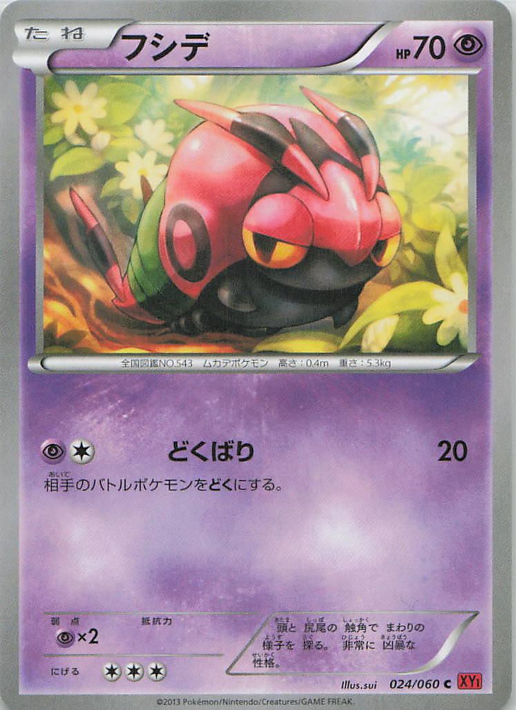 024/060/XY1/C フシデ