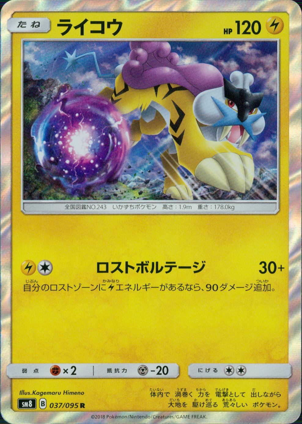 037/095/SM8 ライコウ