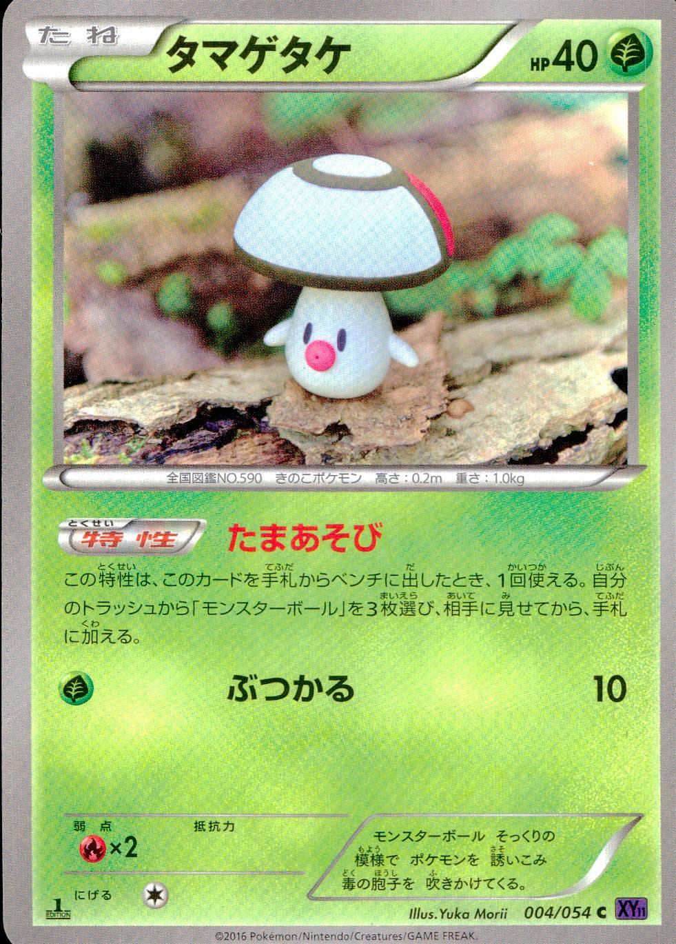 004/054/XY11/1ED タマゲタケ