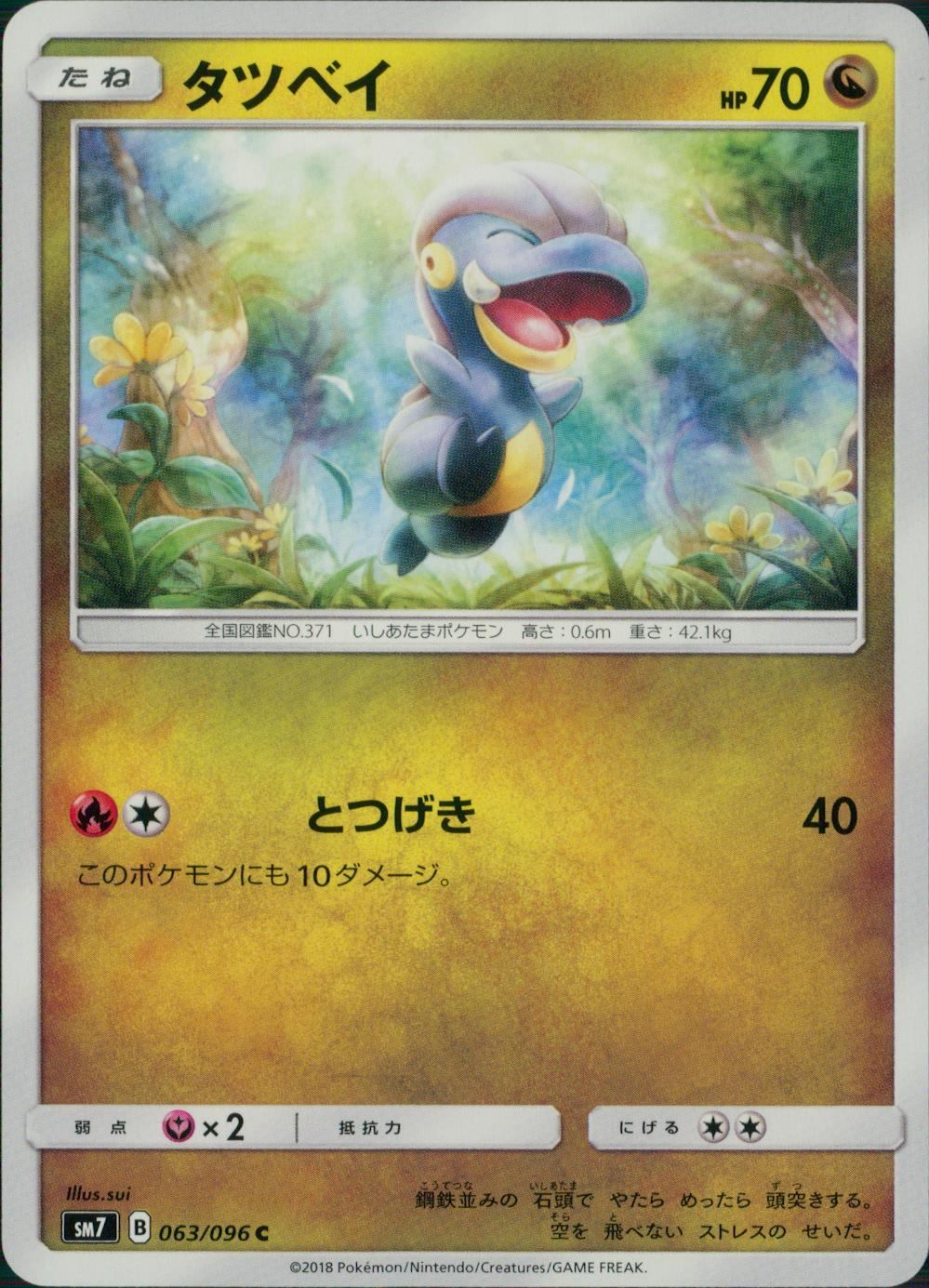063/096/SM7/タツベイ