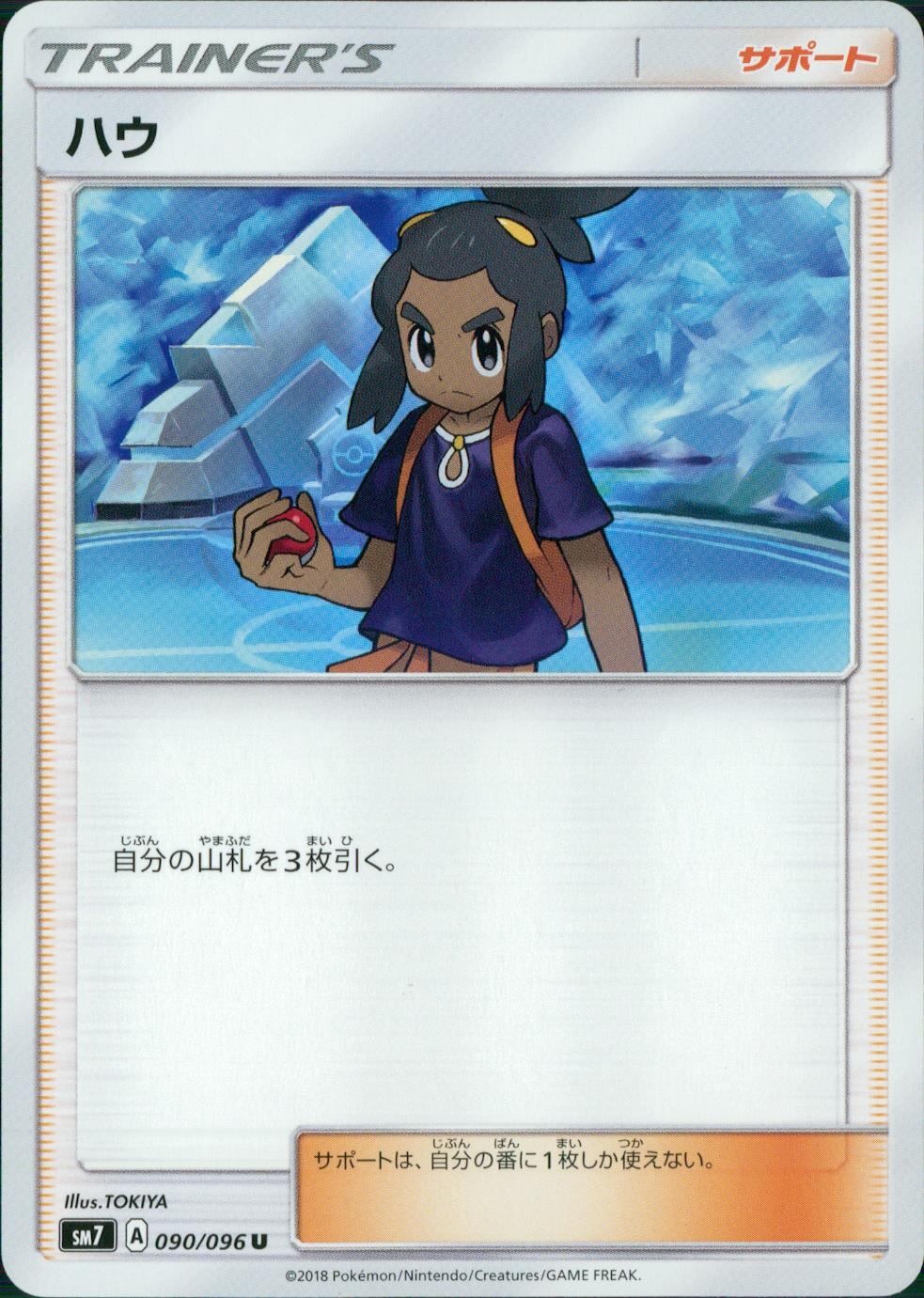090/096/SM7/ハウ