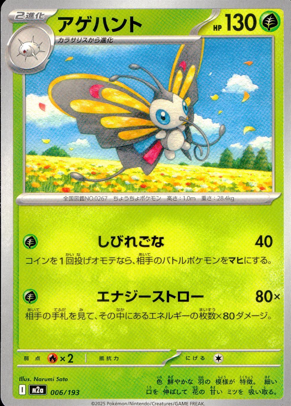 006/193/M2a アゲハント