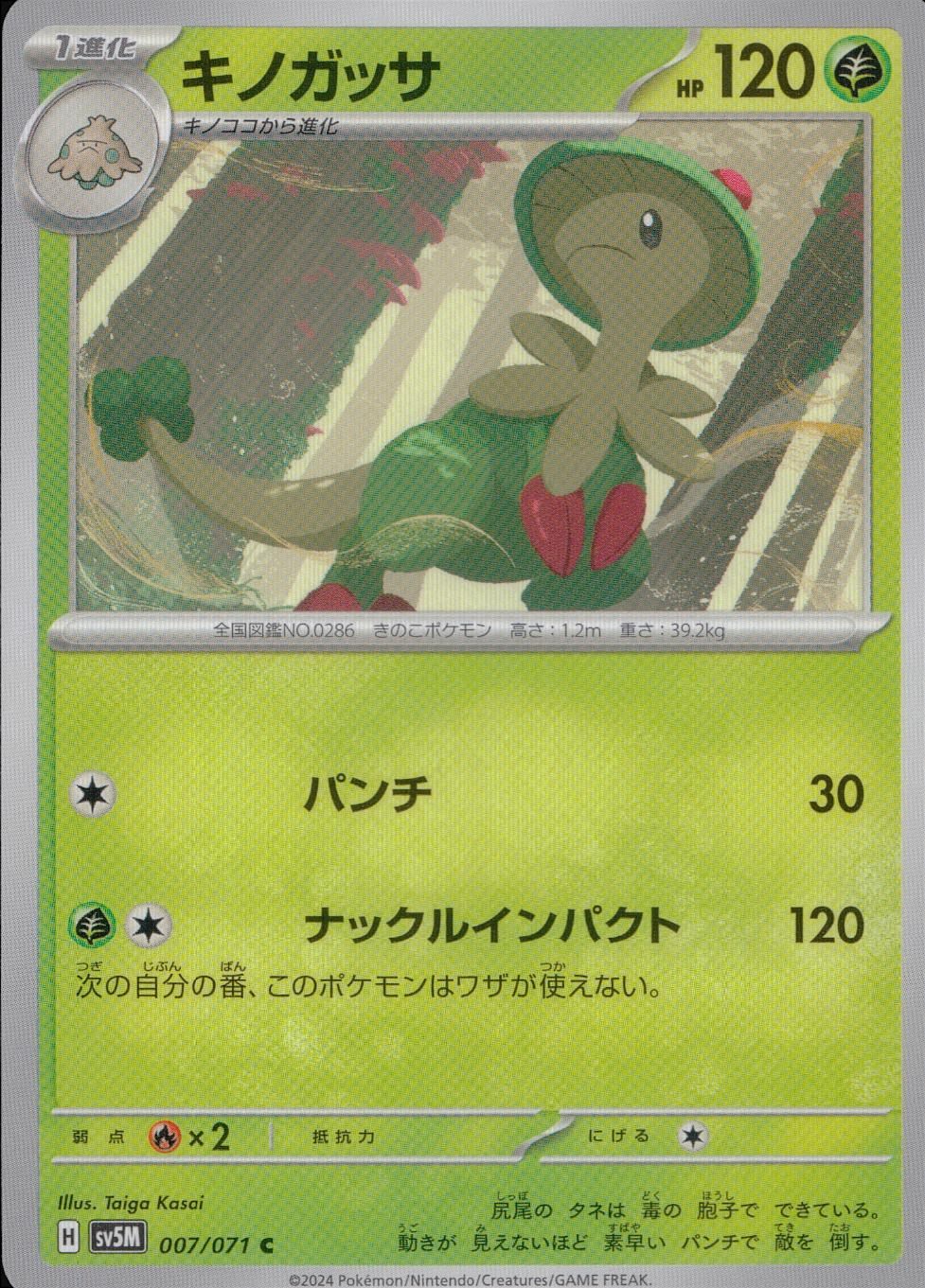 007/071/SV5M/B/C Breloom