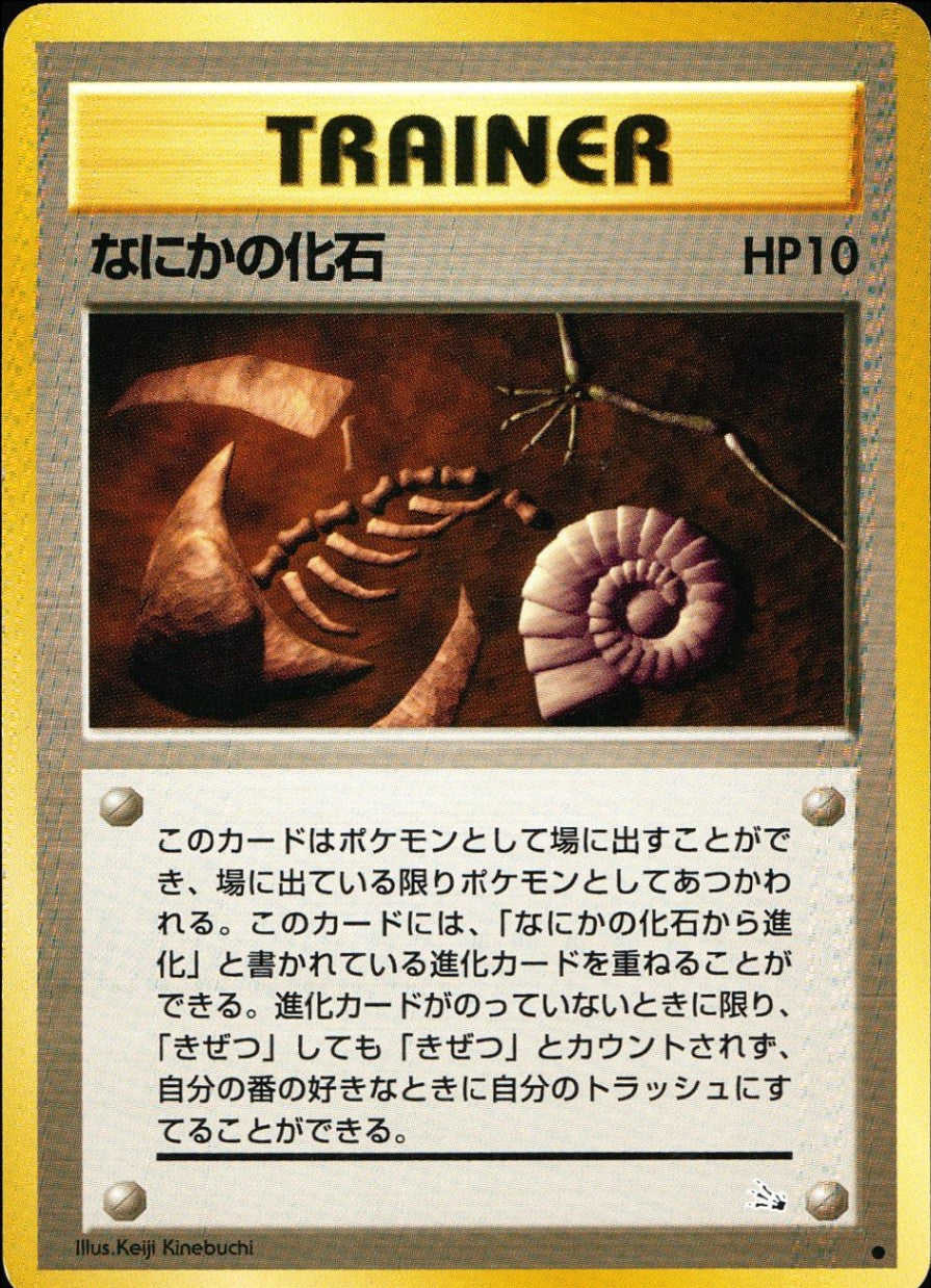 [Condition C] Old back trainer, some kind of fossil, HP10
