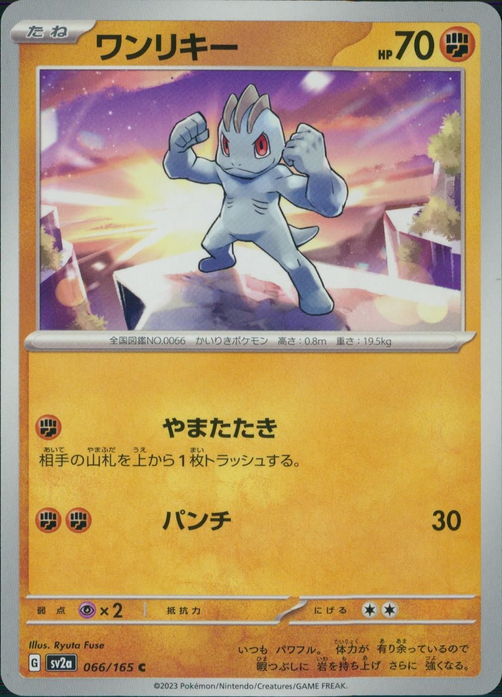 066/165/SV2A/B/C ワンリキー