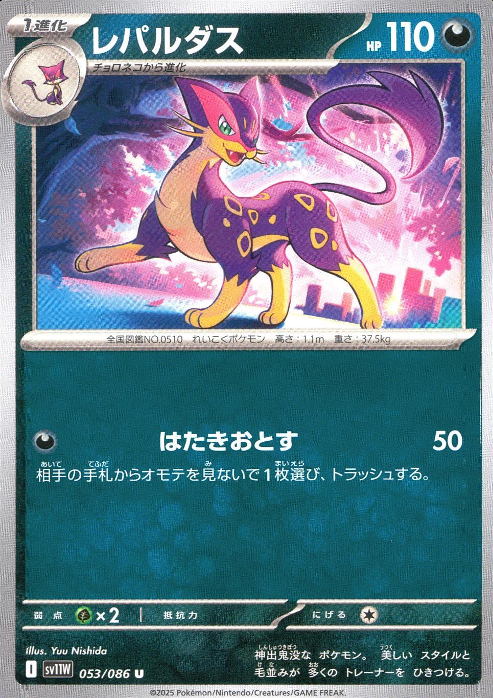 053/086/SV11W/B/U Lepardus