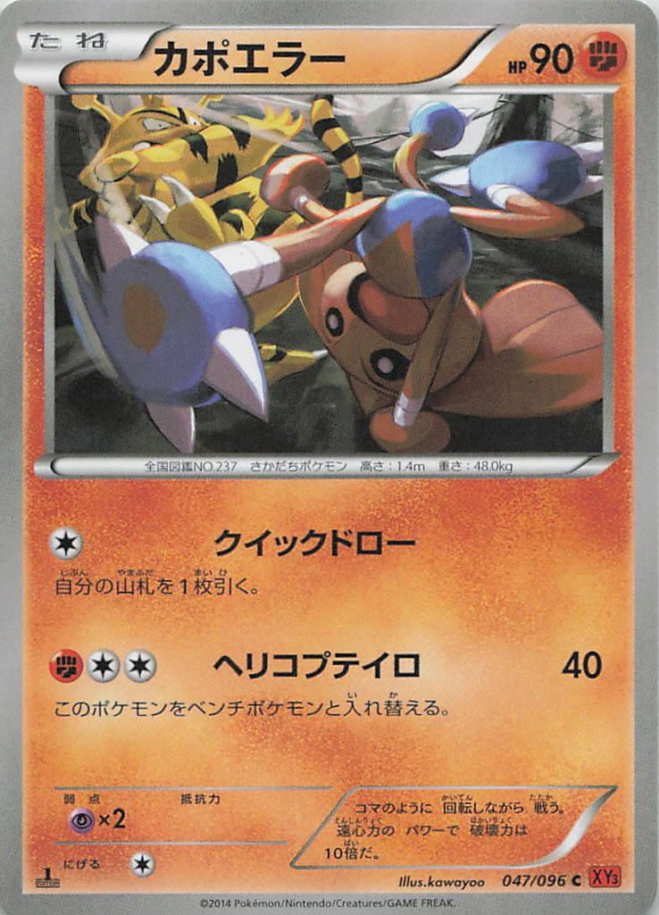047/096/XY3/C カポエラー