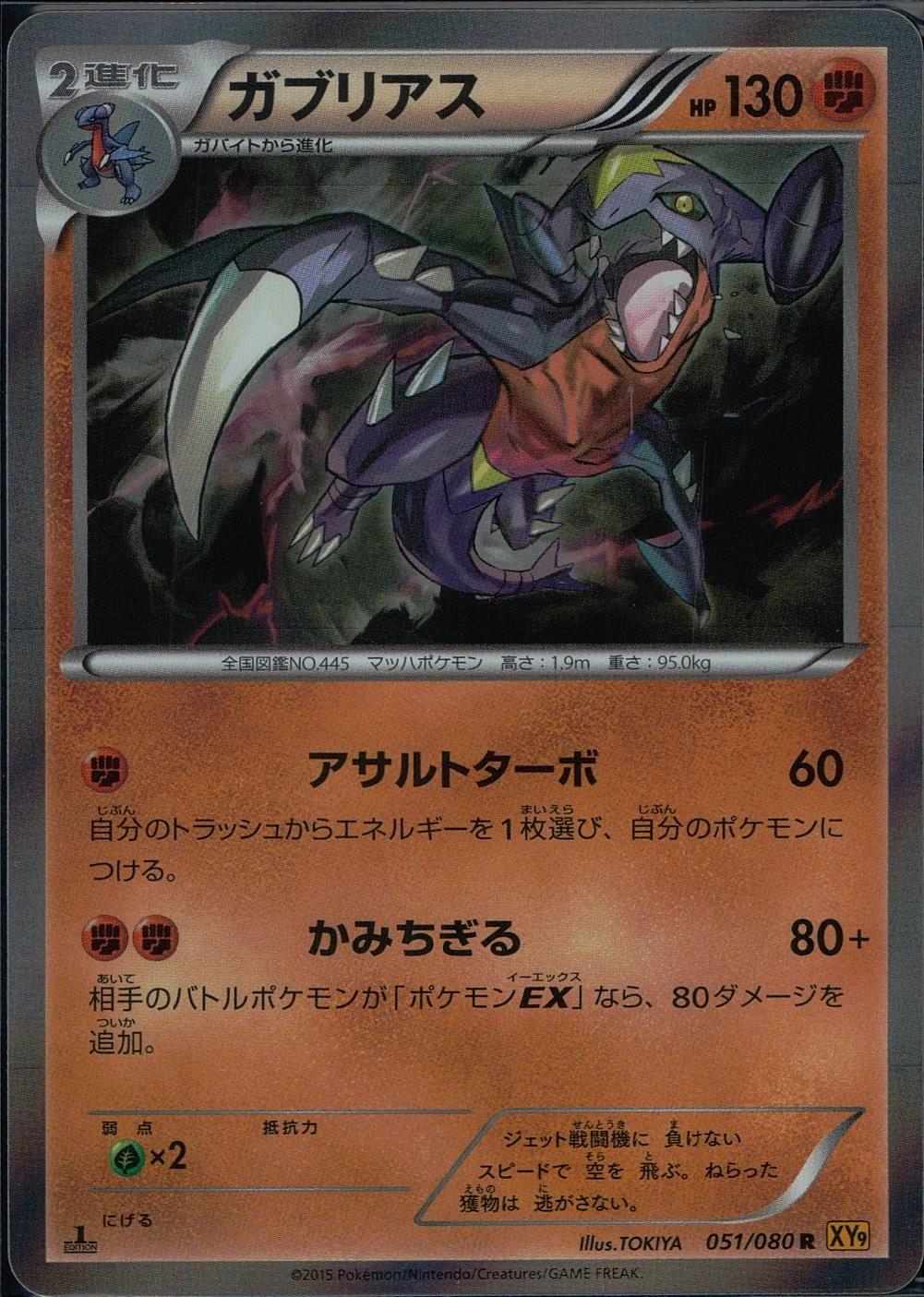 051/080/R/XY9/B ガブリアス