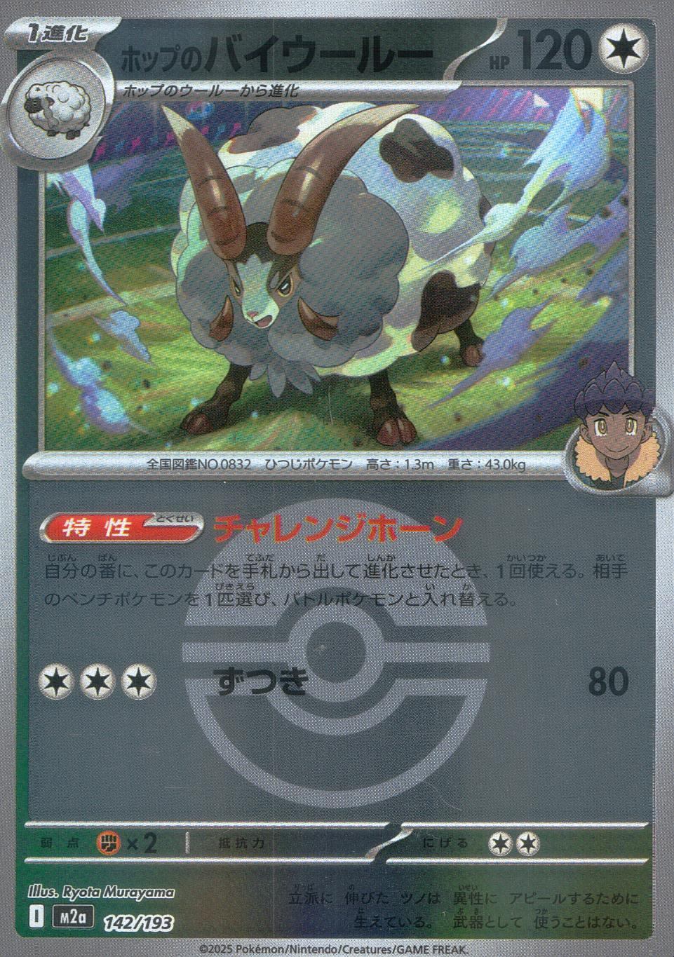 142/193/M2a/MB ホップのバイウールー(ボールミラー)