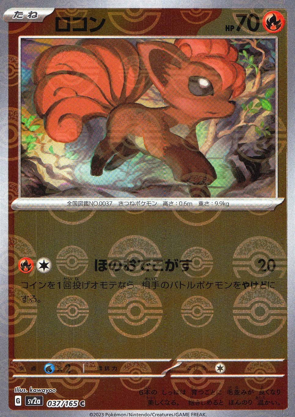 037/165/SV2A/BM1/C ミラー)ロコン(モンスターボール柄)