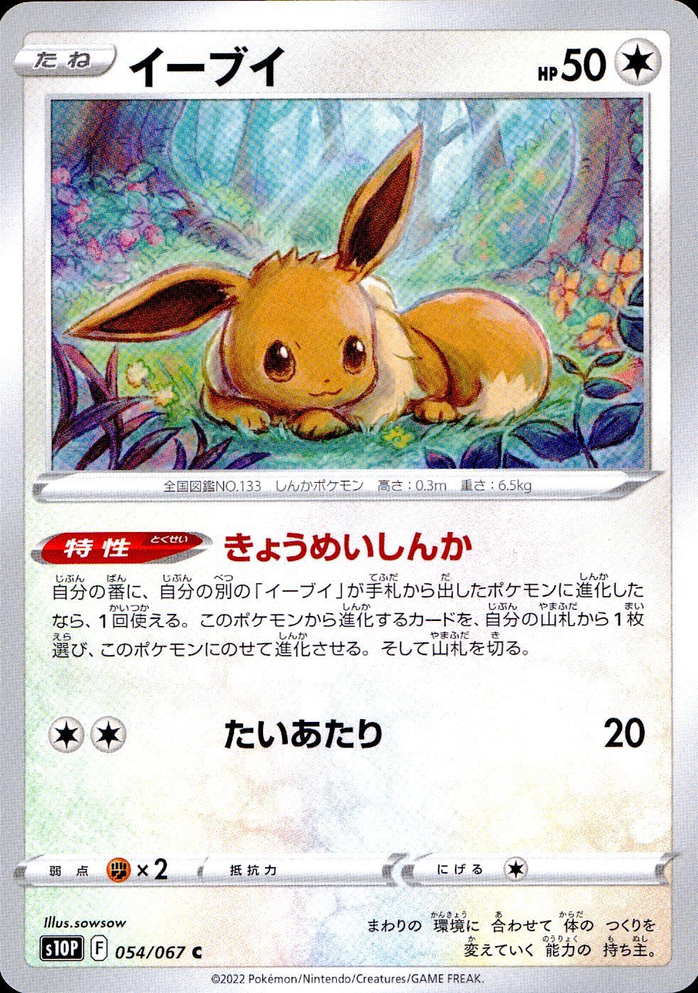 054/067/S10P/B/C Eevee