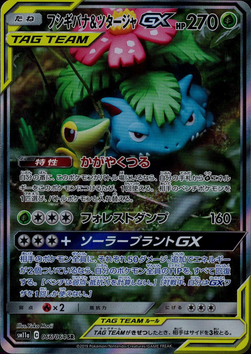 066/064/SM11A/B/SR/SA フシギバナ&ツタージャGX
