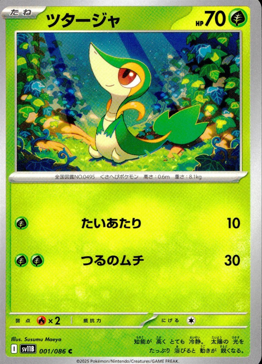 001/086/SV11B/B/C ツタージャ