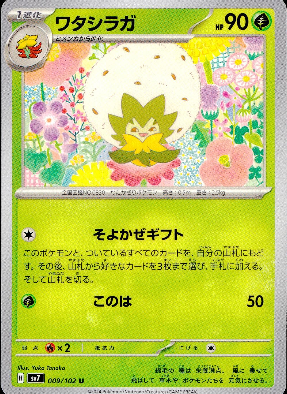 009/102/SV7/B/U ワタシラガ