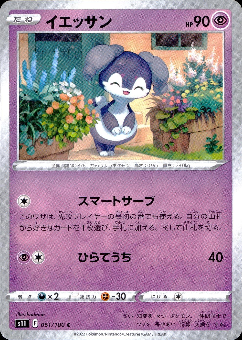 051/100/S11/B/C イエッサン