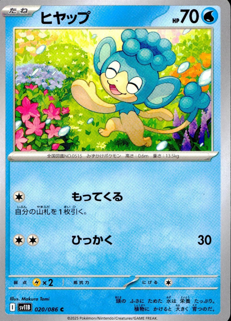 020/086/SV11B/B/C ヒヤップ