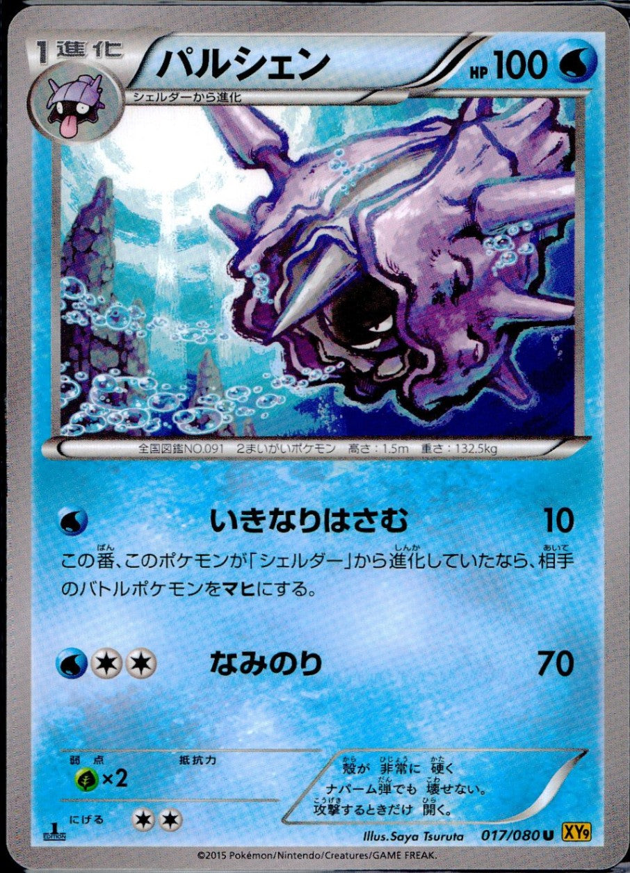 017/080/U/XY9/B パルシェン