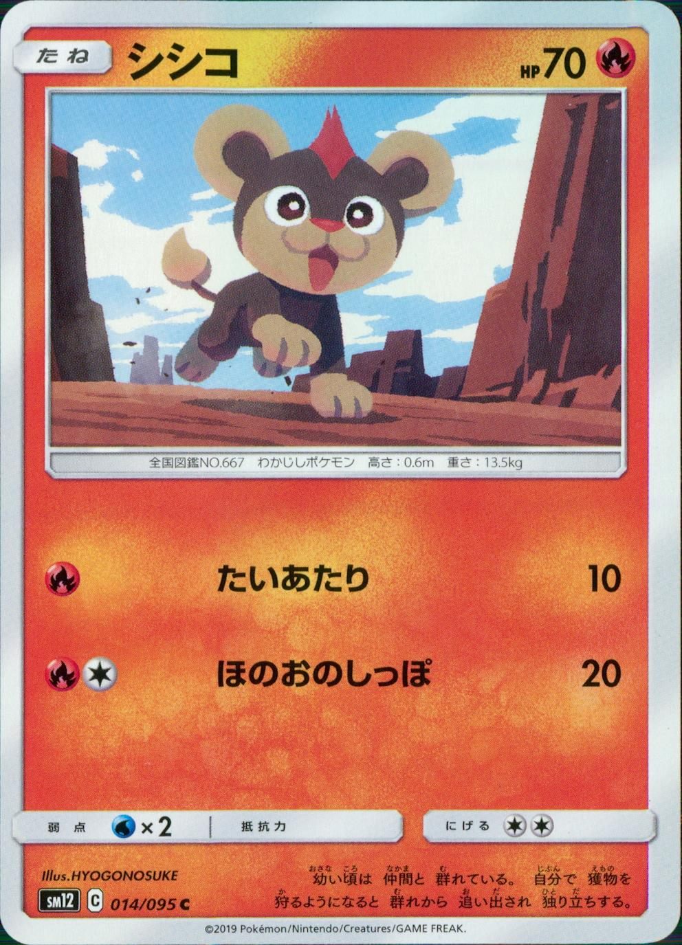 014/095/SM12/B/C シシコ