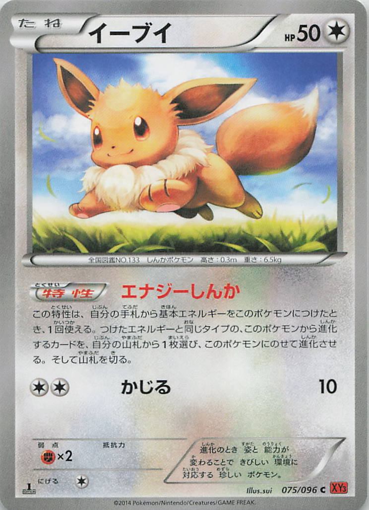 075/096/XY3/C イーブイ