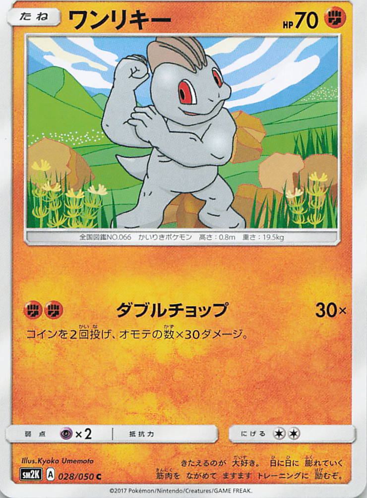 028/050/SM2K/C ワンリキー