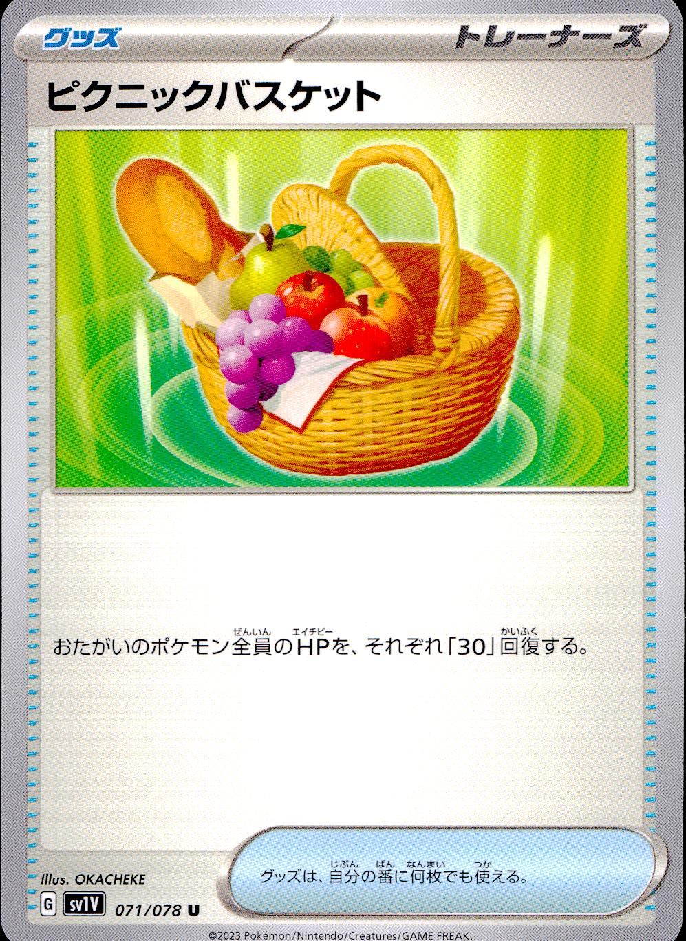 071/078/SV1V/B/U ピクニックバスケット