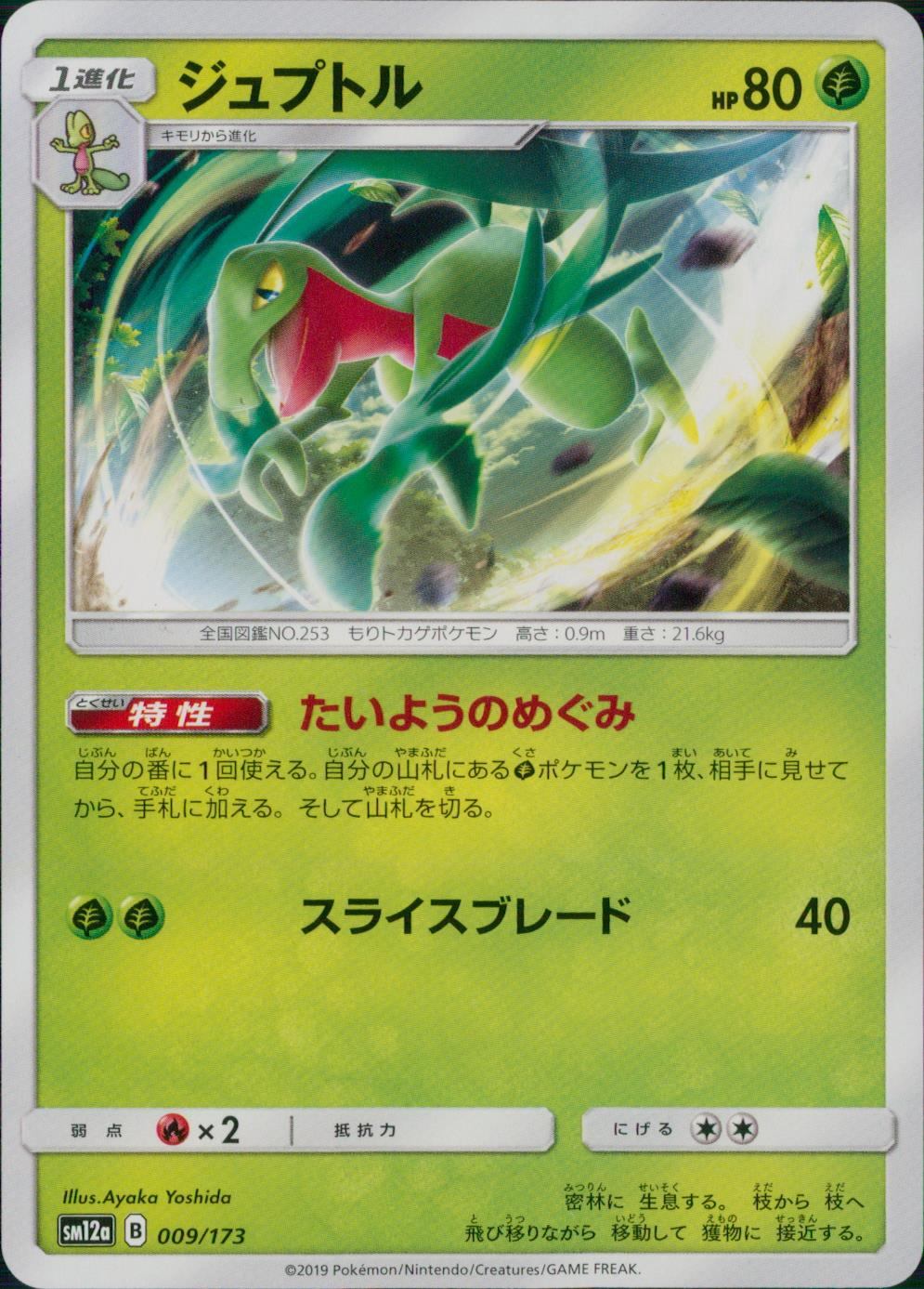 009/173/SM12A/ジュプトル