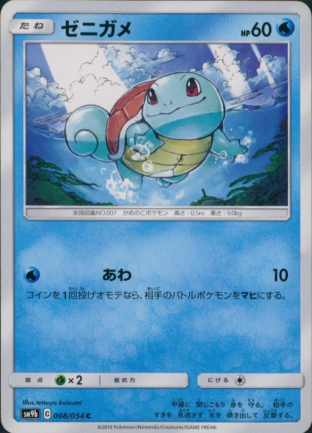 008/054/SM9B/B/C ゼニガメ