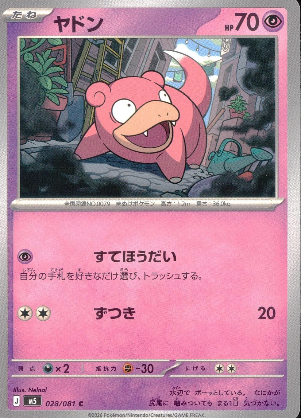 028/081/M5/C ヤドン