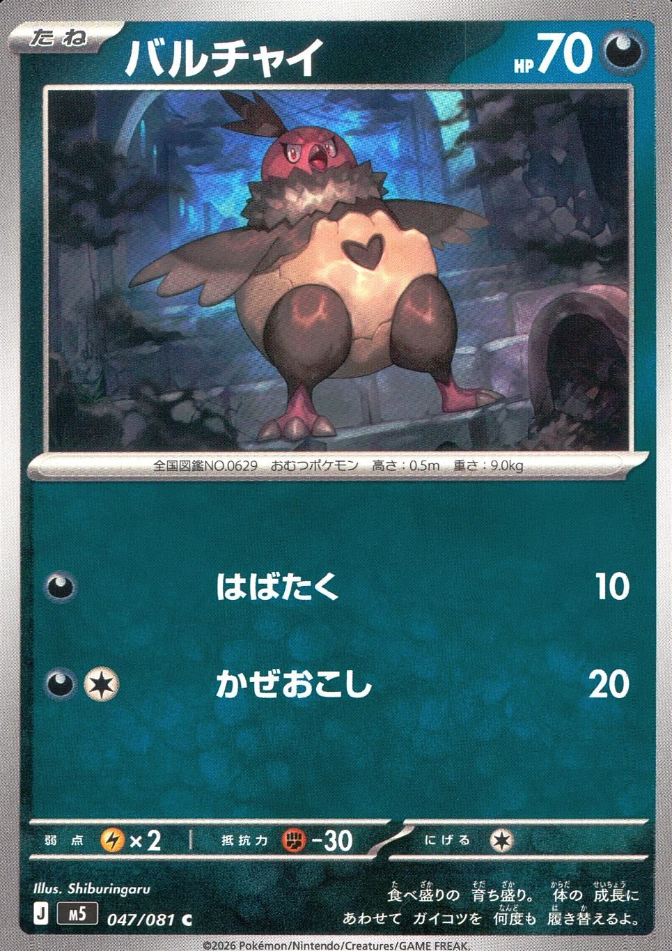 047/081/M5/C バルチャイ