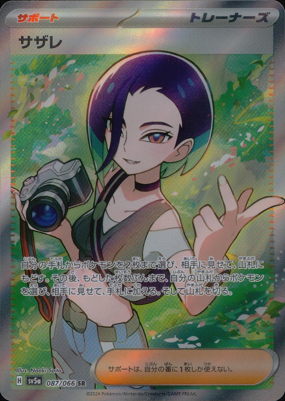 087/066/SV5A/B/SR サザレ