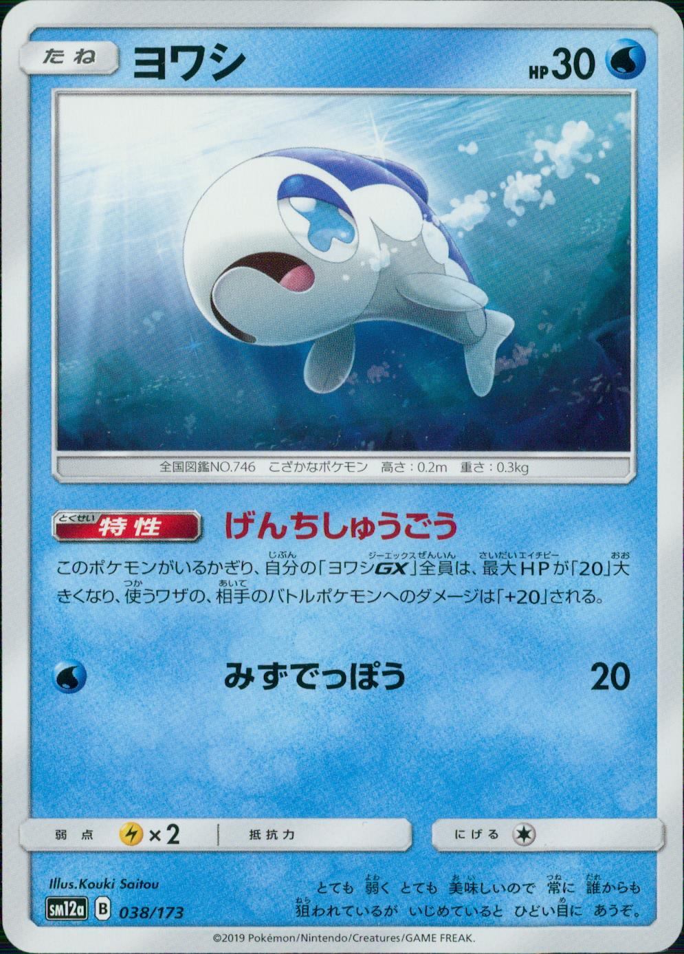 038/173/SM12A/ヨワシ