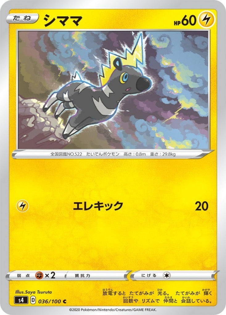 036/100/S4/B/C シママ