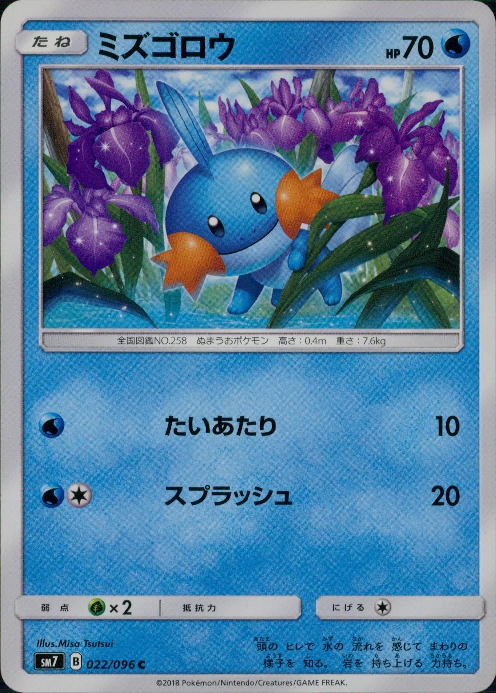 022/096/SM7/ミズゴロウ