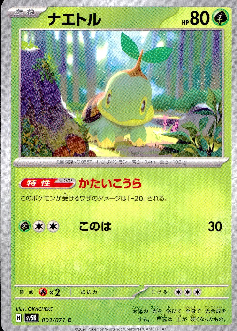003/071/SV5K/B/C Turtwig