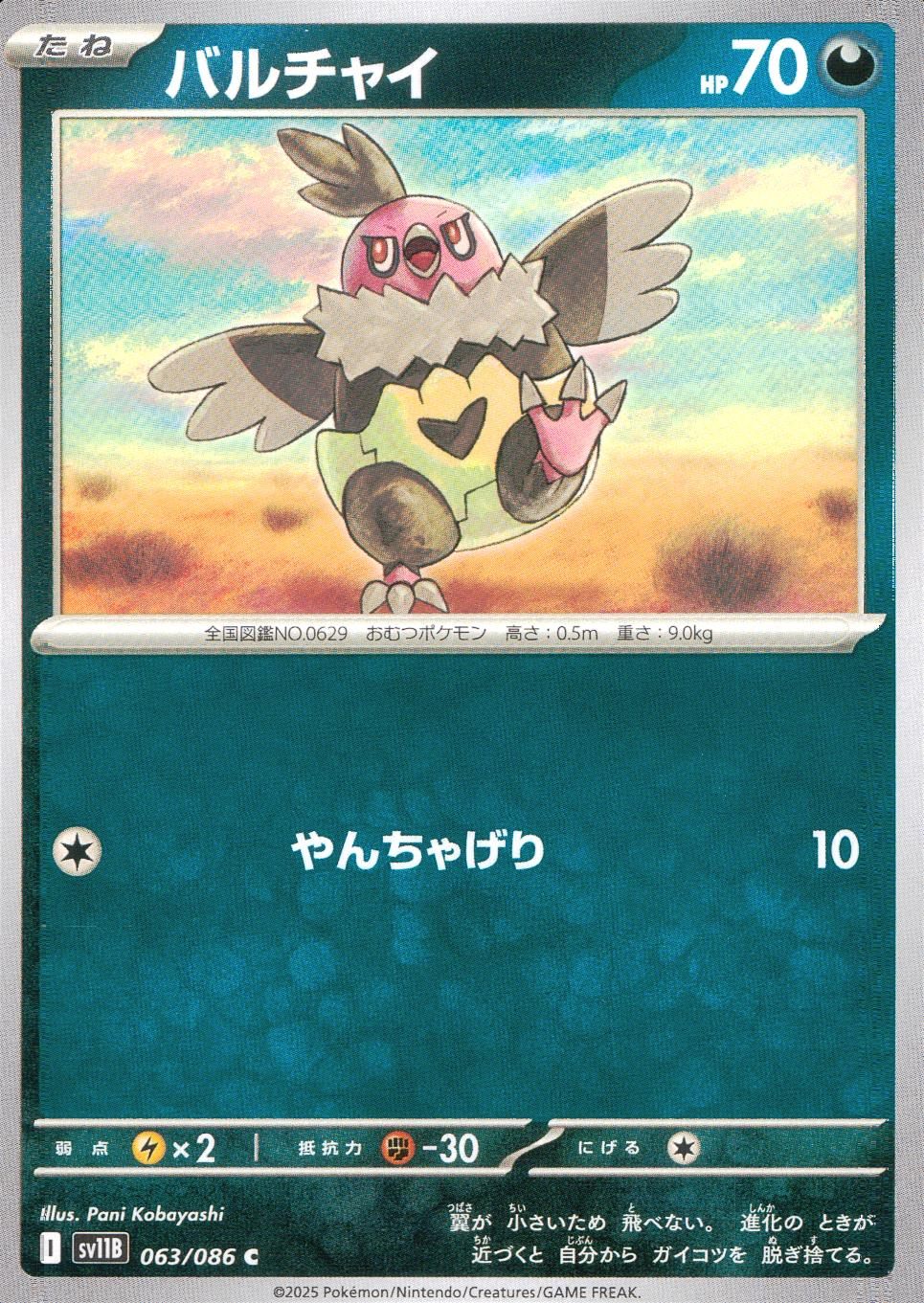 063/086/SV11B/B/C バルチャイ