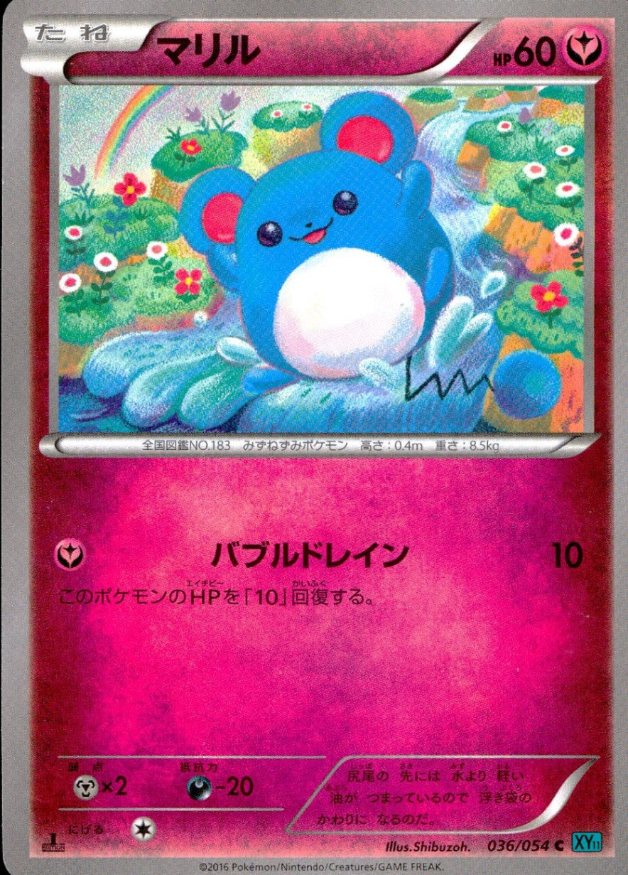 036/054/XY11/1ED マリル