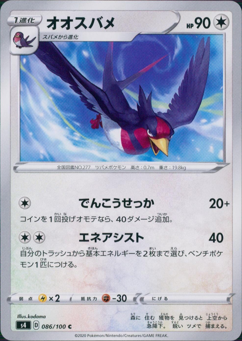 086/100/S4/B/C オオスバメ