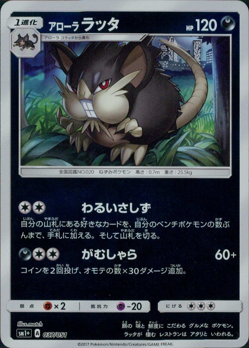 037/051/SM1＋/アローラ ラッタ