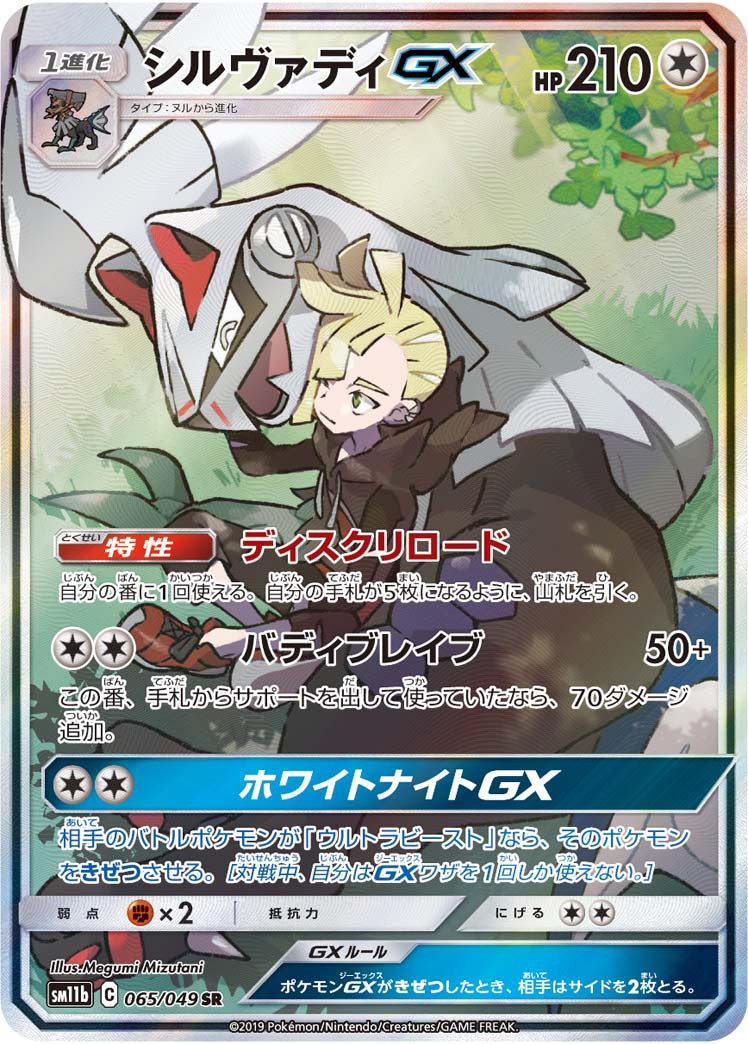 065/049/SM11B/B/SR シルヴァディGX